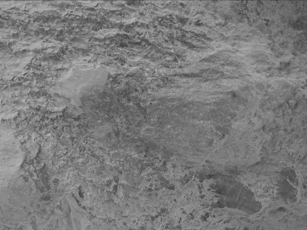 This image was taken by SHERLOC_WATSON onboard NASA's Mars rover Perseverance on Sol 1603