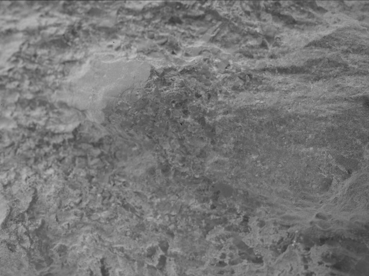 This image was taken by SHERLOC_WATSON onboard NASA's Mars rover Perseverance on Sol 1603