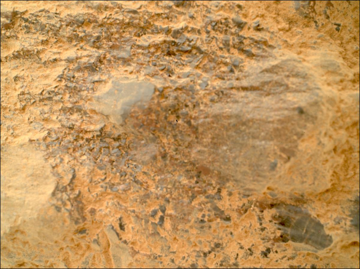 This image was taken by SHERLOC_WATSON onboard NASA's Mars rover Perseverance on Sol 1603