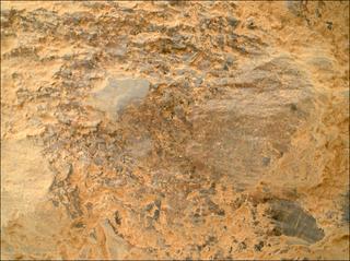 View image taken on Mars, Mars Perseverance Sol 1603: WATSON Camera 