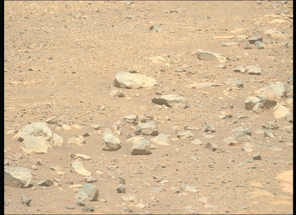This image was taken by MCZ_LEFT onboard NASA's Mars rover Perseverance on Sol 1603