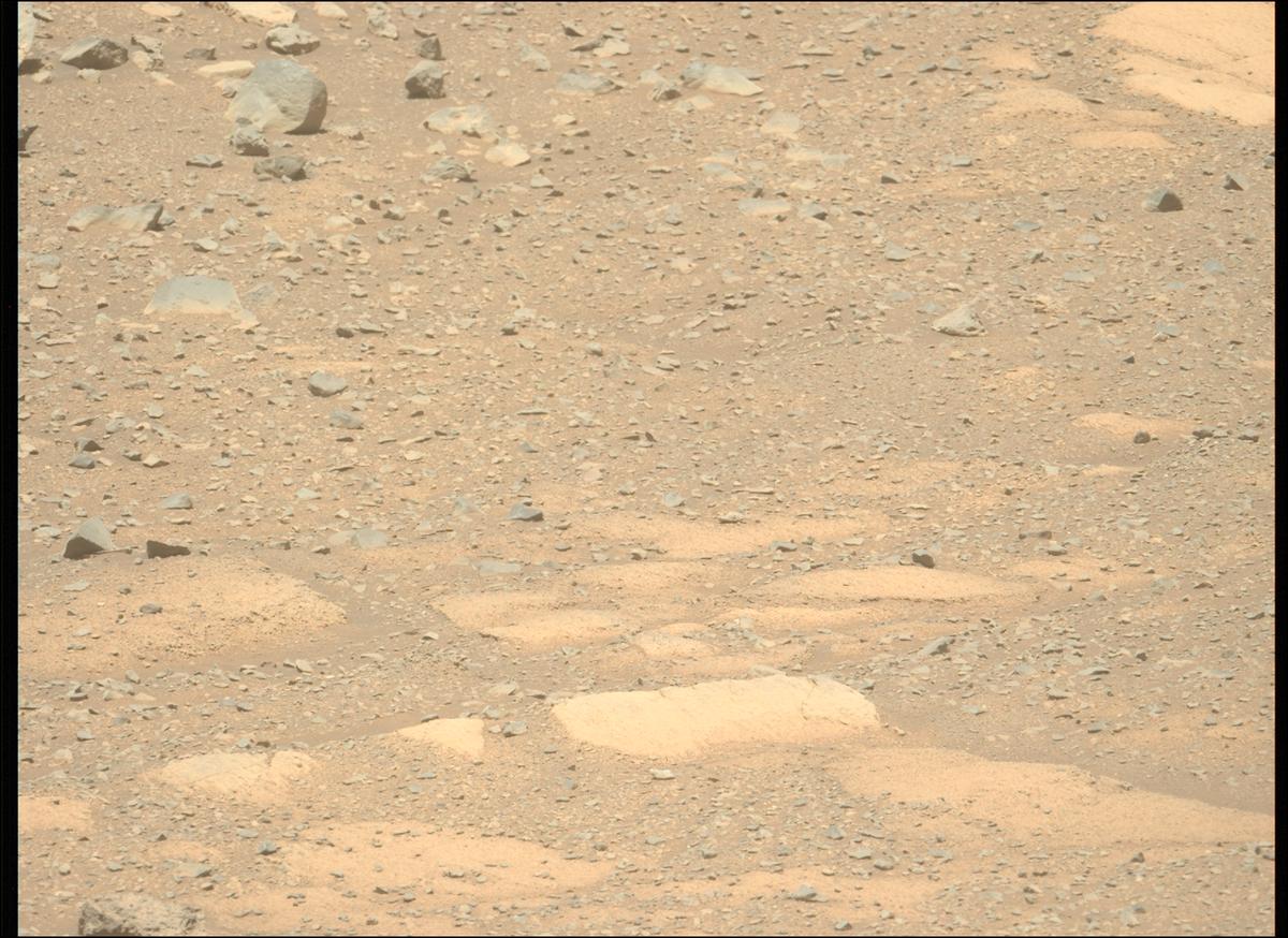 This image was taken by MCZ_LEFT onboard NASA's Mars rover Perseverance on Sol 1603
