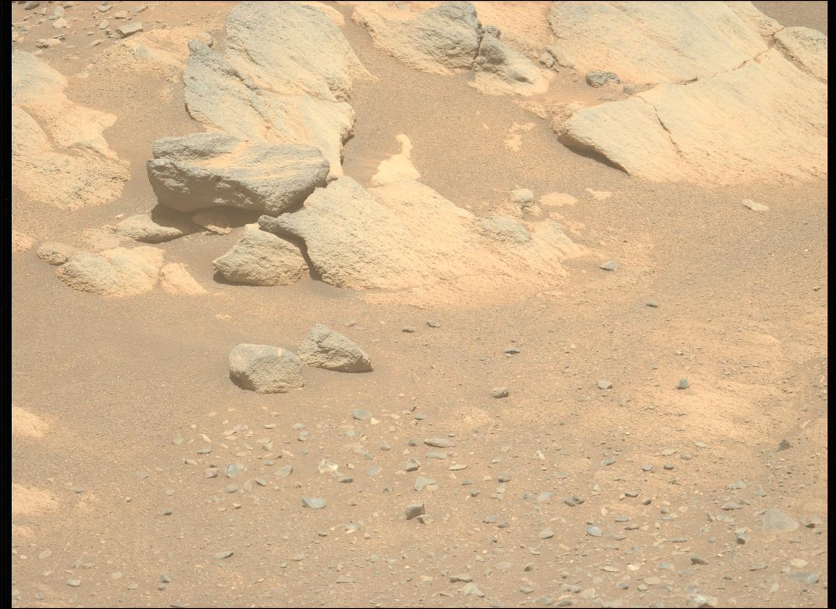 This image was taken by MCZ_LEFT onboard NASA's Mars rover Perseverance on Sol 1603