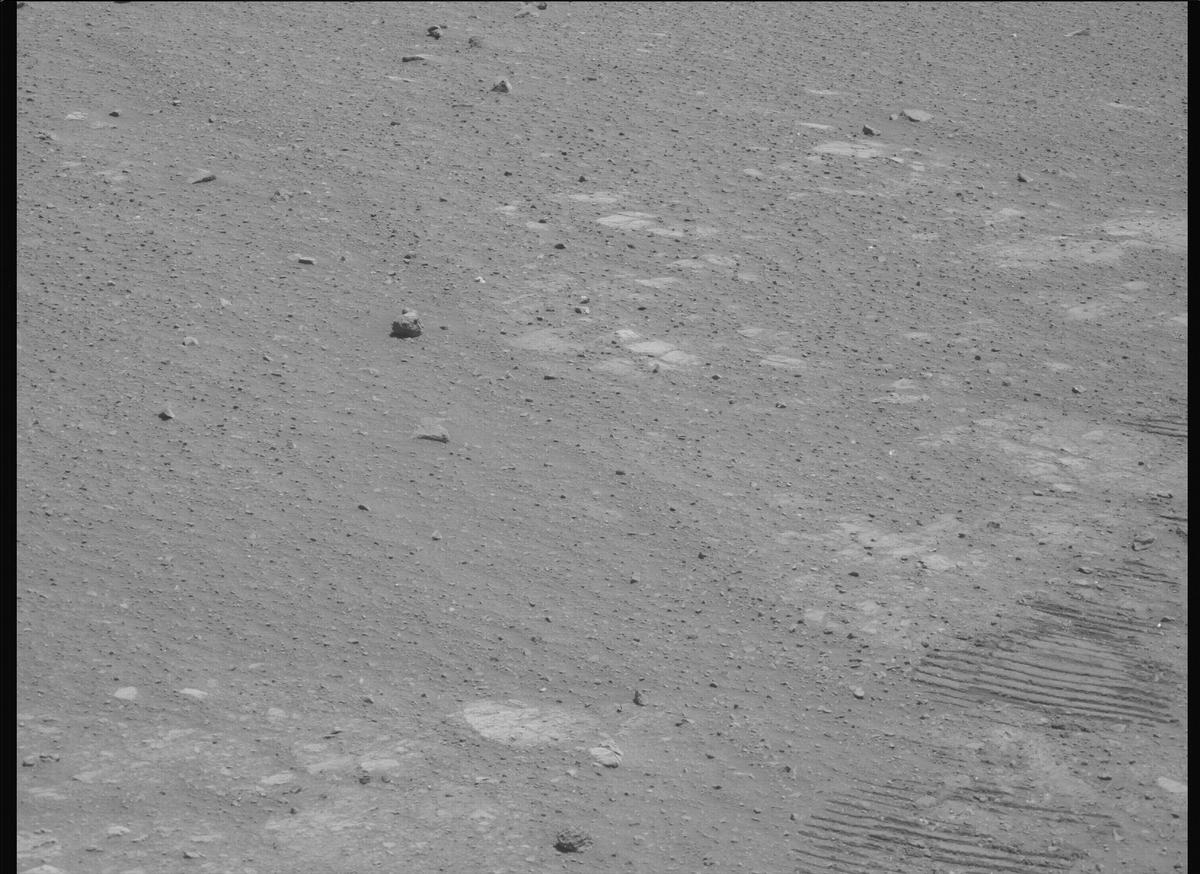 This image was taken by MCZ_LEFT onboard NASA's Mars rover Perseverance on Sol 1603