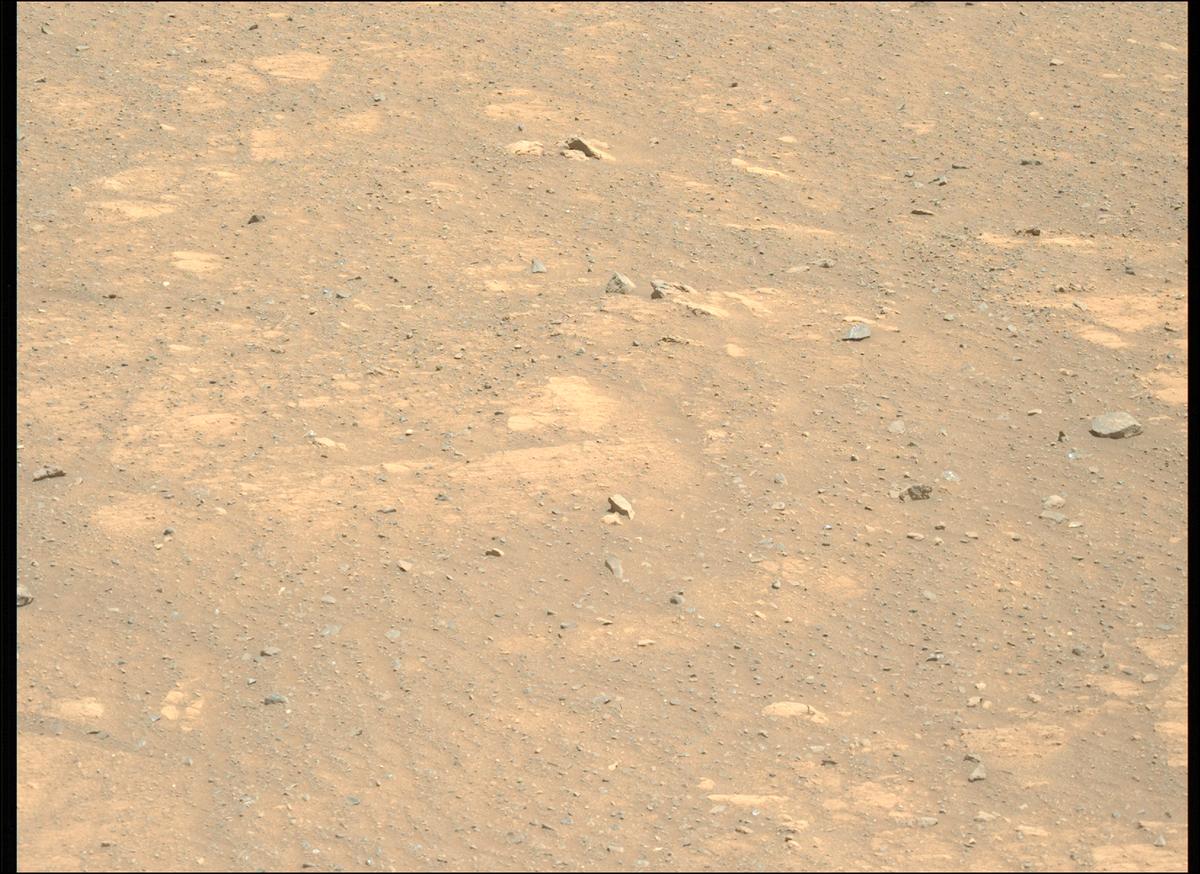 This image was taken by MCZ_LEFT onboard NASA's Mars rover Perseverance on Sol 1603