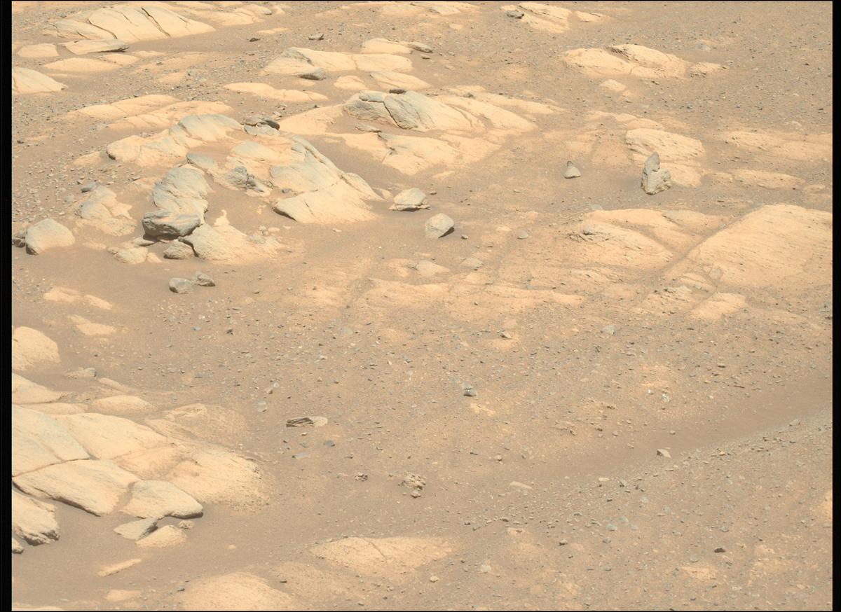 This image was taken by MCZ_LEFT onboard NASA's Mars rover Perseverance on Sol 1603