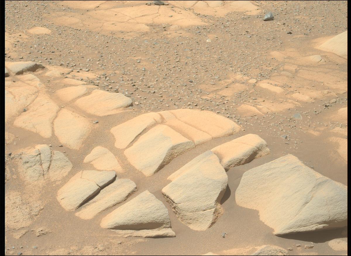 This image was taken by MCZ_LEFT onboard NASA's Mars rover Perseverance on Sol 1603