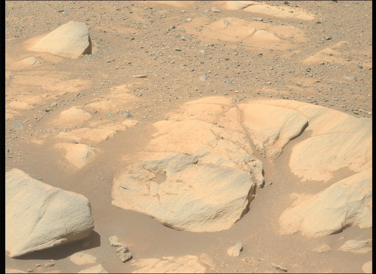This image was taken by MCZ_LEFT onboard NASA's Mars rover Perseverance on Sol 1603