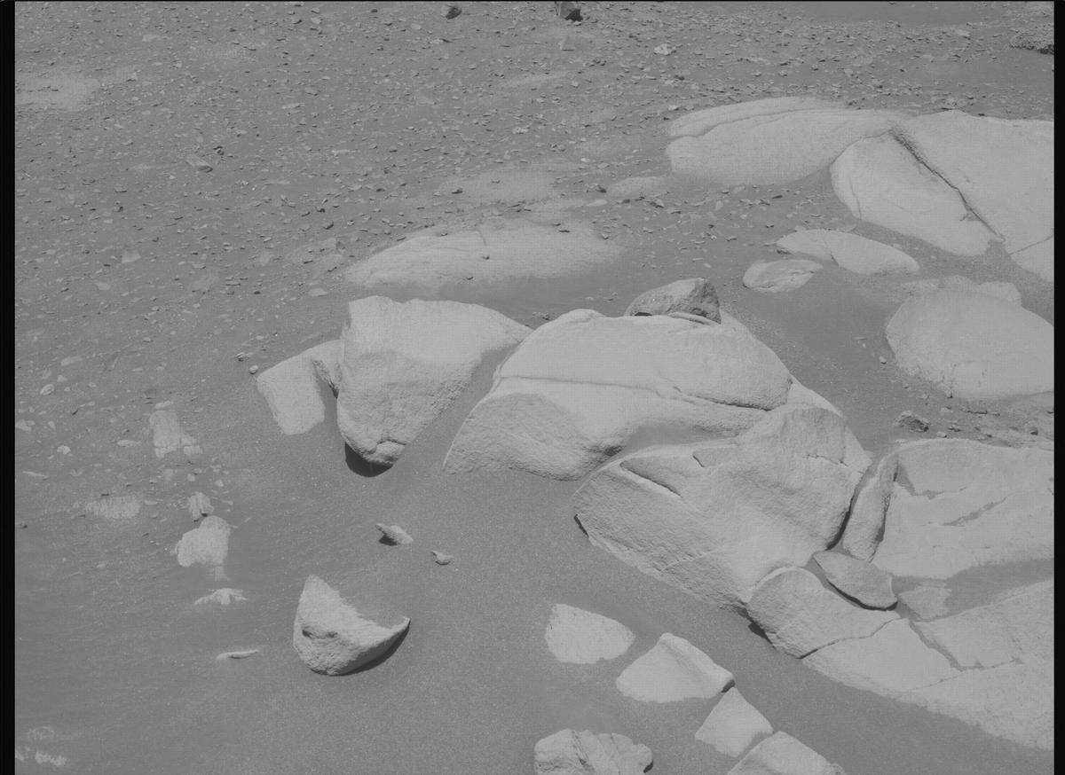 This image was taken by MCZ_LEFT onboard NASA's Mars rover Perseverance on Sol 1603