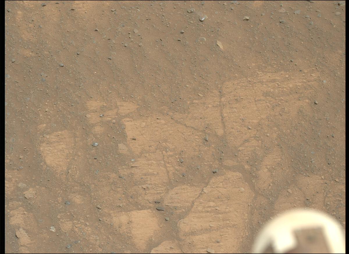 This image was taken by MCZ_LEFT onboard NASA's Mars rover Perseverance on Sol 1603