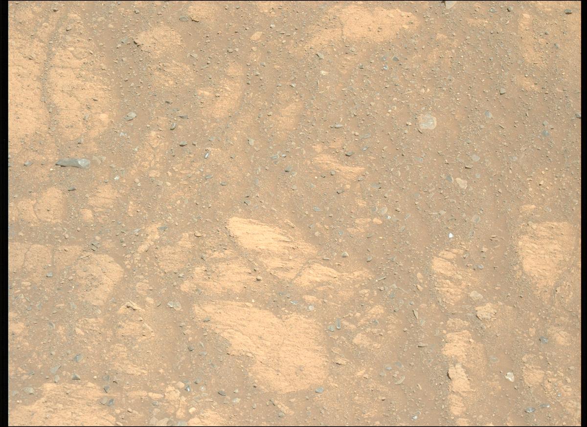 This image was taken by MCZ_LEFT onboard NASA's Mars rover Perseverance on Sol 1603