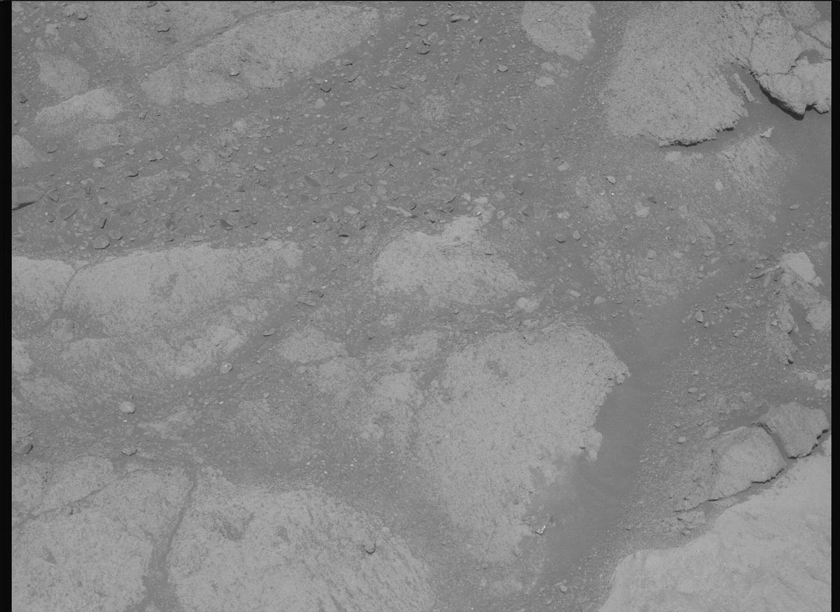 This image was taken by MCZ_LEFT onboard NASA's Mars rover Perseverance on Sol 1603