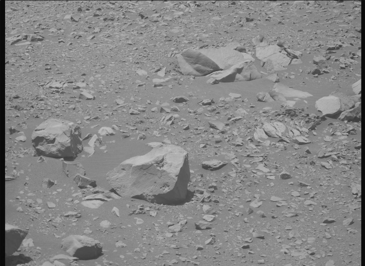 This image was taken by MCZ_RIGHT onboard NASA's Mars rover Perseverance on Sol 1603