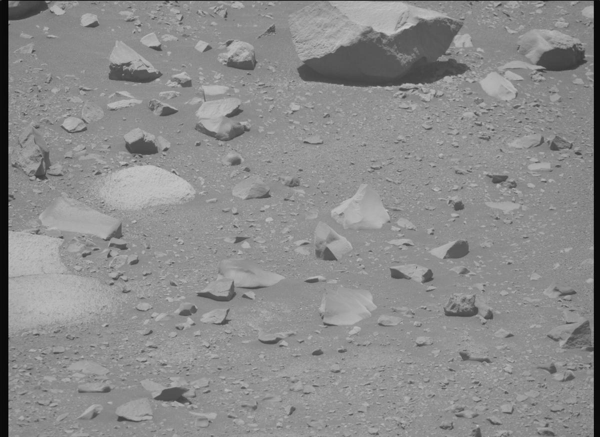 This image was taken by MCZ_RIGHT onboard NASA's Mars rover Perseverance on Sol 1603