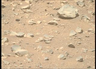 View image taken on Mars, Mars Perseverance Sol 1603: Right Mastcam-Z Camera