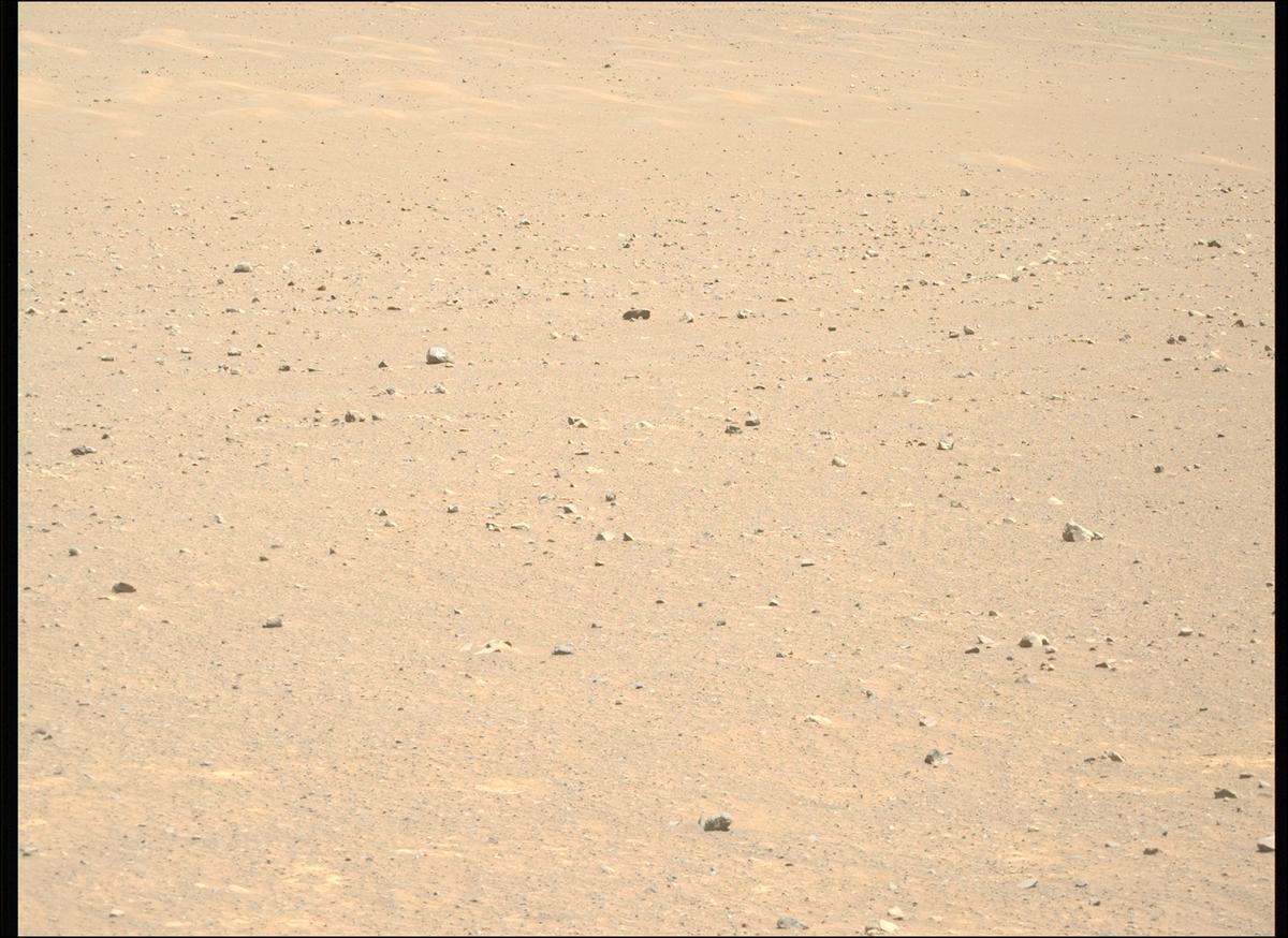 This image was taken by MCZ_RIGHT onboard NASA's Mars rover Perseverance on Sol 1603