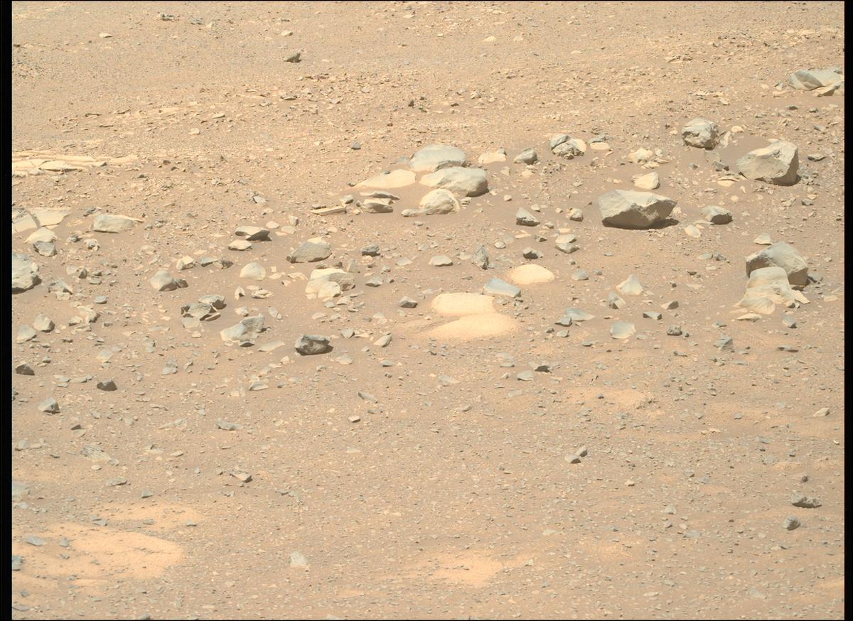 This image was taken by MCZ_RIGHT onboard NASA's Mars rover Perseverance on Sol 1603