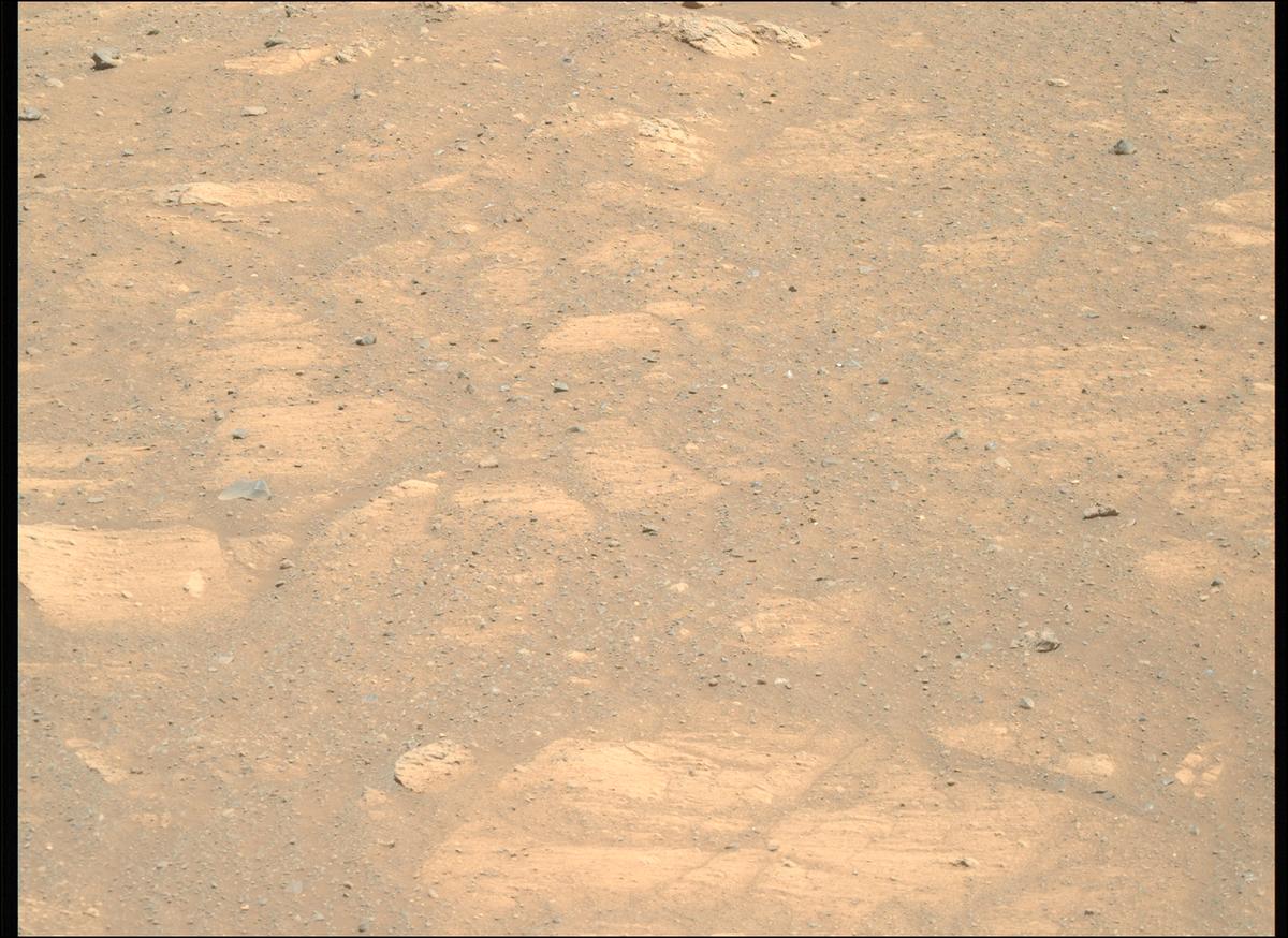 This image was taken by MCZ_RIGHT onboard NASA's Mars rover Perseverance on Sol 1603