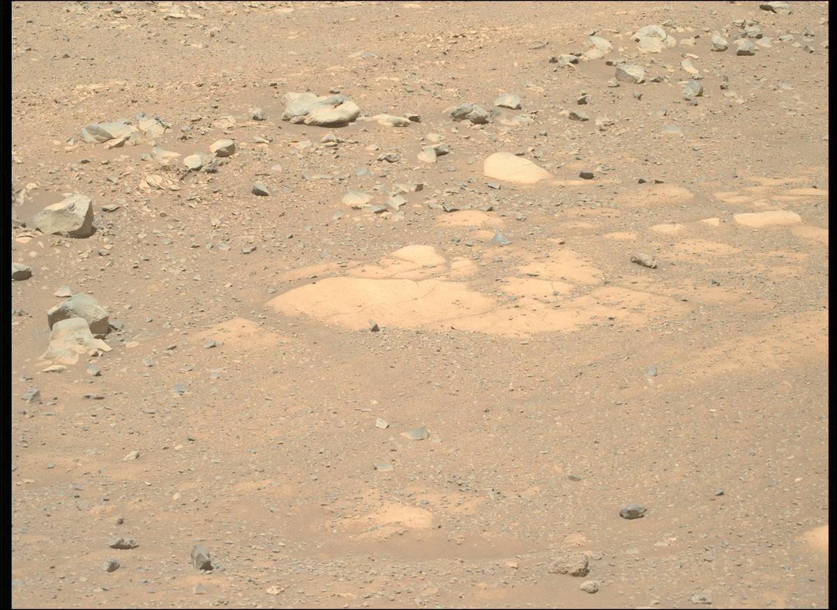 This image was taken by MCZ_RIGHT onboard NASA's Mars rover Perseverance on Sol 1603