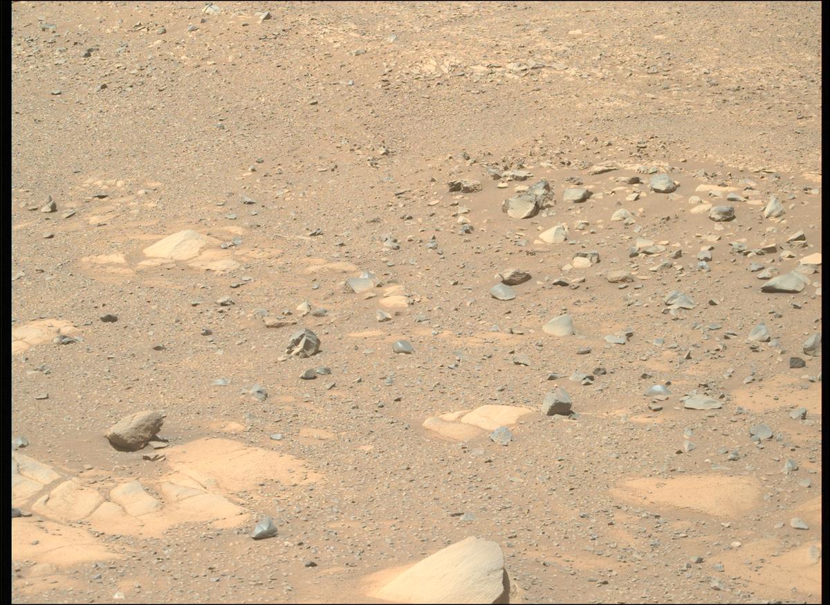 This image was taken by MCZ_RIGHT onboard NASA's Mars rover Perseverance on Sol 1603