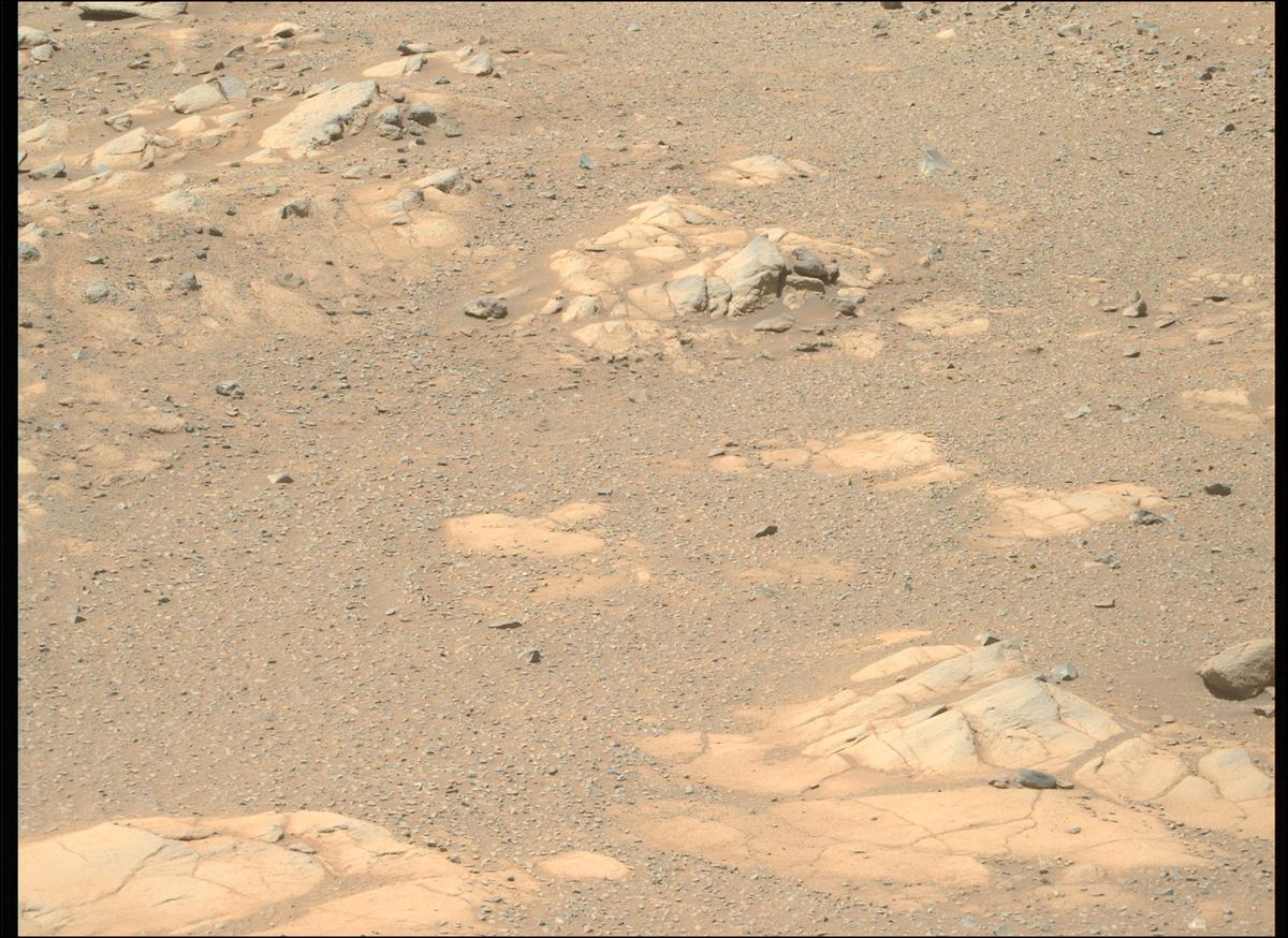 This image was taken by MCZ_RIGHT onboard NASA's Mars rover Perseverance on Sol 1603