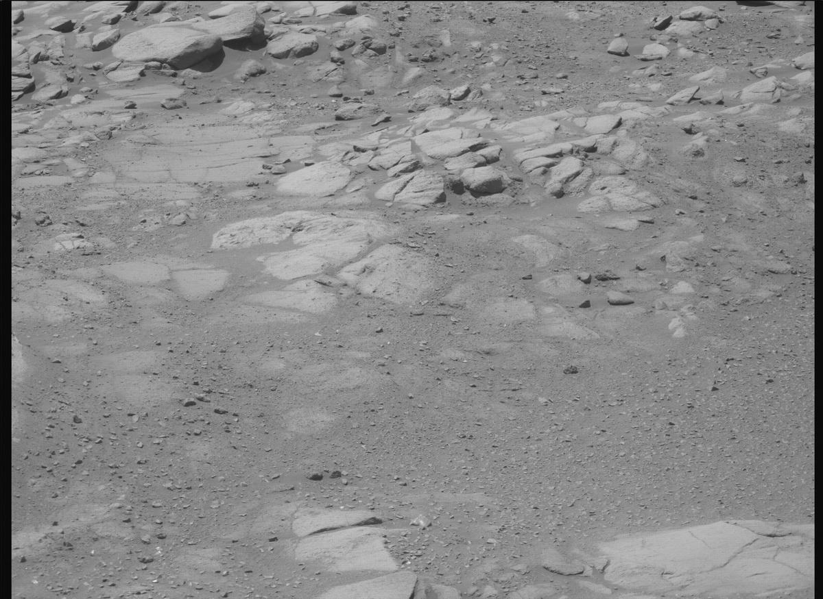 This image was taken by MCZ_RIGHT onboard NASA's Mars rover Perseverance on Sol 1603