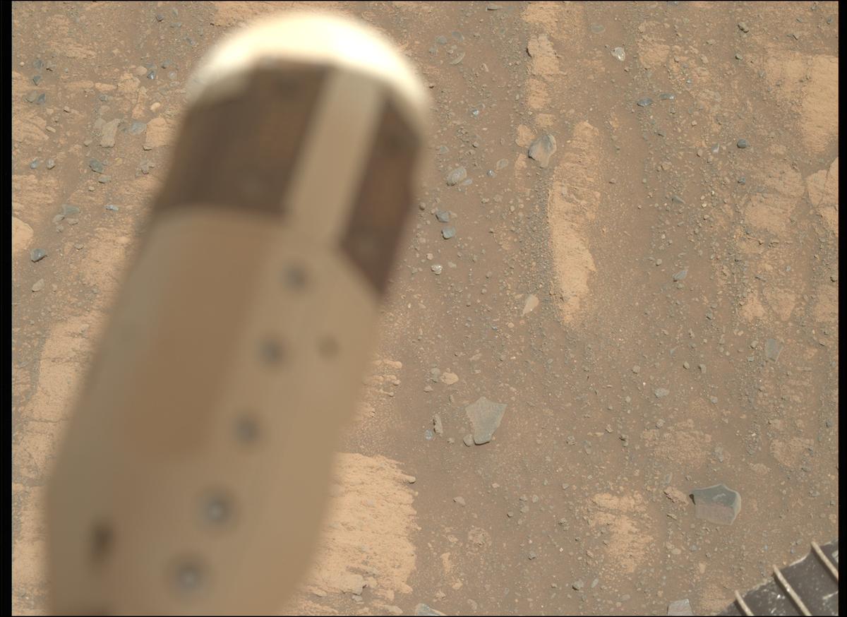 This image was taken by MCZ_RIGHT onboard NASA's Mars rover Perseverance on Sol 1603