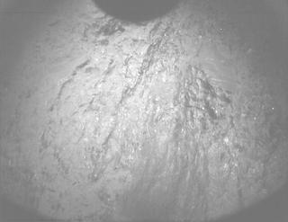 View image taken on Mars, Mars Perseverance Sol 1604: PIXL Camera 