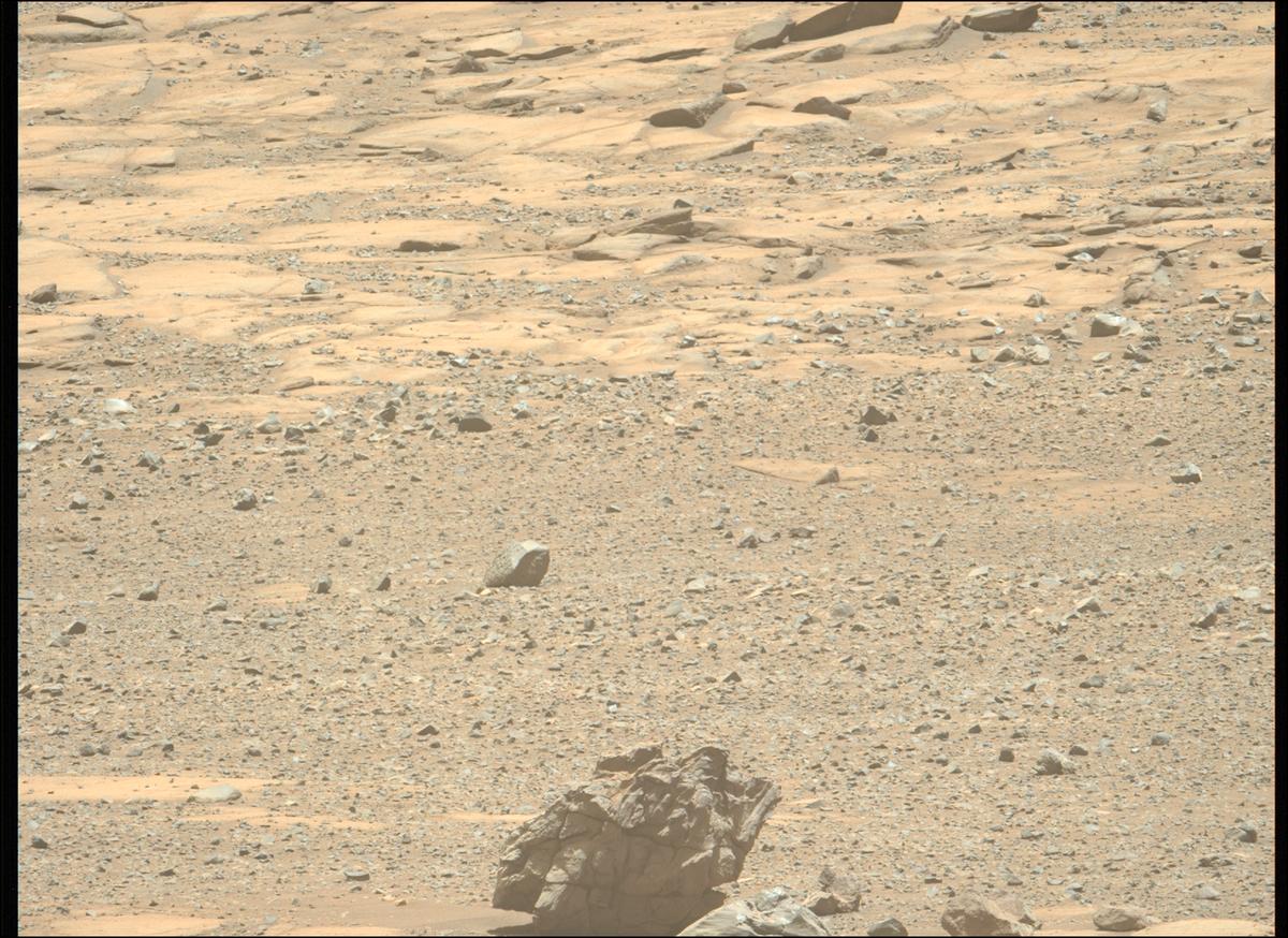 This image was taken by MCZ_LEFT onboard NASA's Mars rover Perseverance on Sol 1604