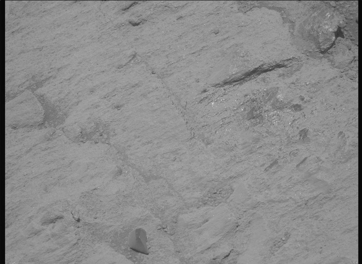 This image was taken by MCZ_LEFT onboard NASA's Mars rover Perseverance on Sol 1604