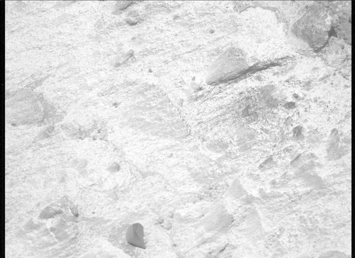 This image was taken by MCZ_LEFT onboard NASA's Mars rover Perseverance on Sol 1604