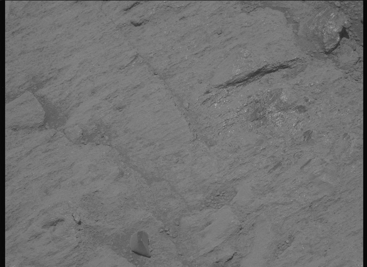This image was taken by MCZ_LEFT onboard NASA's Mars rover Perseverance on Sol 1604
