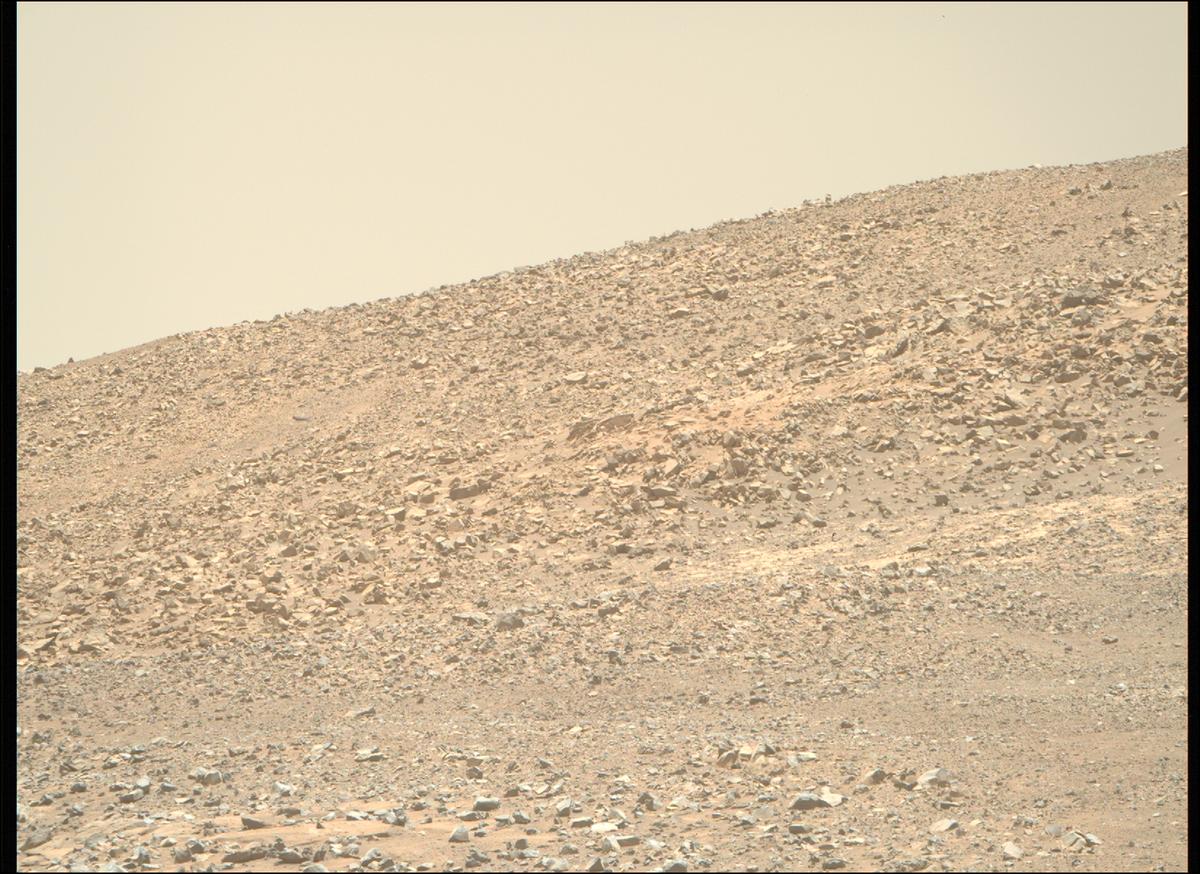 This image was taken by MCZ_RIGHT onboard NASA's Mars rover Perseverance on Sol 1604