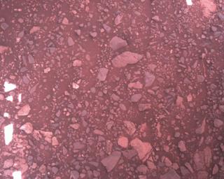 View image taken on Mars, Mars Perseverance Sol 1606: Rover Down-Look Camera