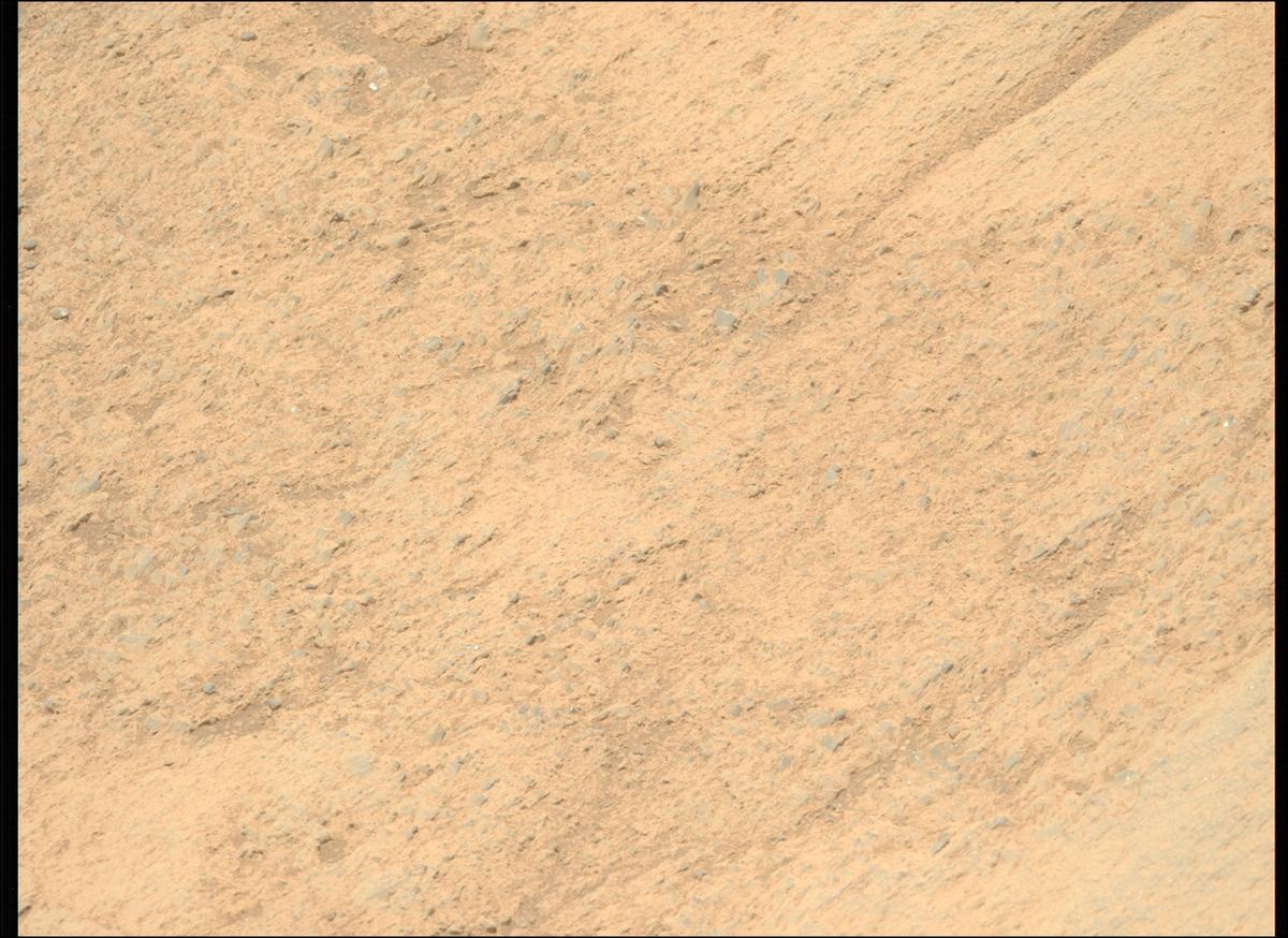 This image was taken by MCZ_LEFT onboard NASA's Mars rover Perseverance on Sol 1606