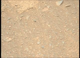 View image taken on Mars, Mars Perseverance Sol 1606: Left Mastcam-Z Camera