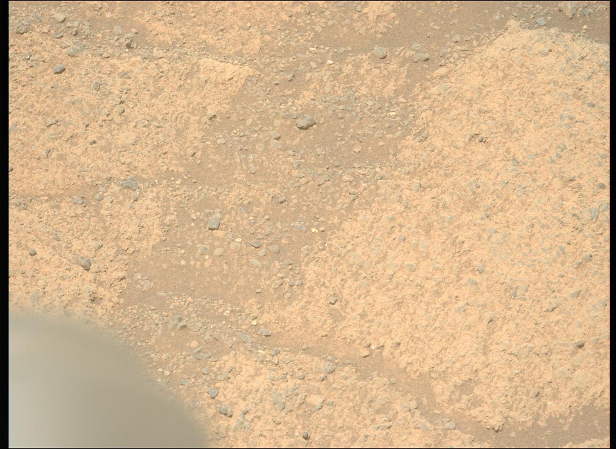 This image was taken by MCZ_LEFT onboard NASA's Mars rover Perseverance on Sol 1606