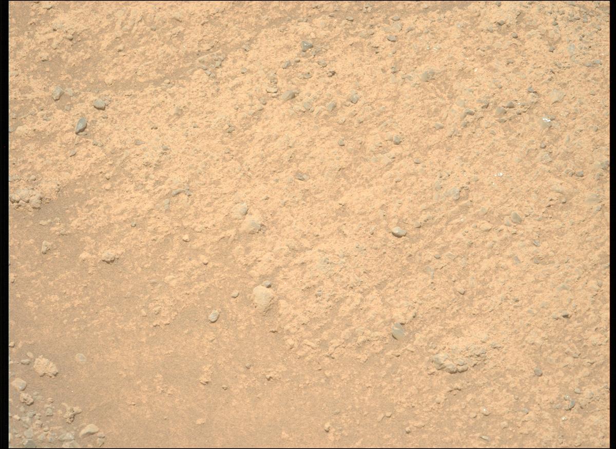 This image was taken by MCZ_LEFT onboard NASA's Mars rover Perseverance on Sol 1606