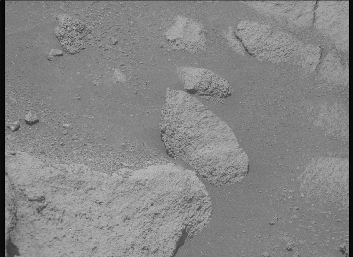 This image was taken by MCZ_RIGHT onboard NASA's Mars rover Perseverance on Sol 1606