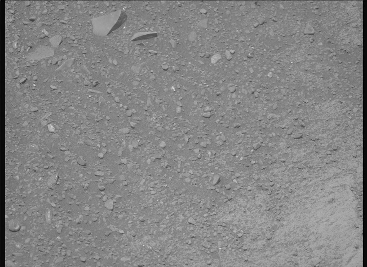 This image was taken by MCZ_RIGHT onboard NASA's Mars rover Perseverance on Sol 1606