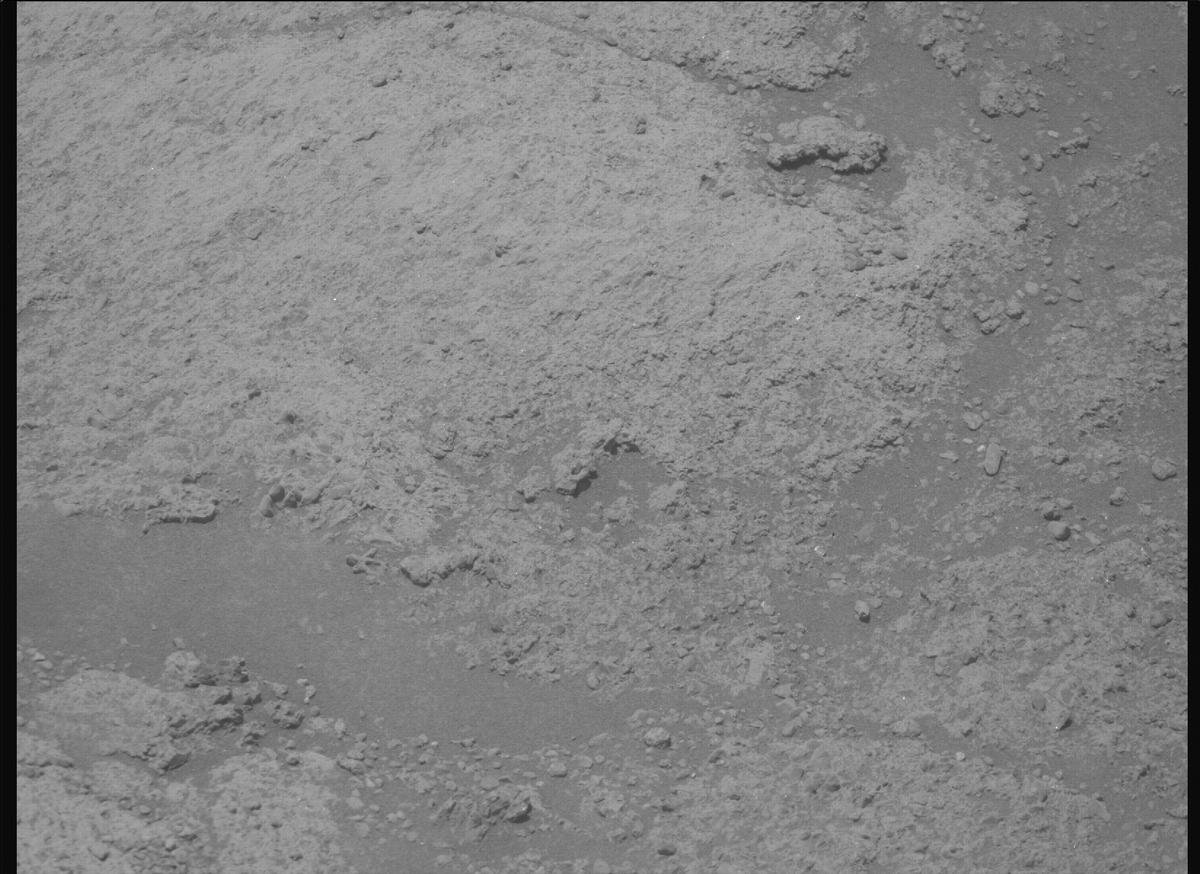 This image was taken by MCZ_RIGHT onboard NASA's Mars rover Perseverance on Sol 1606