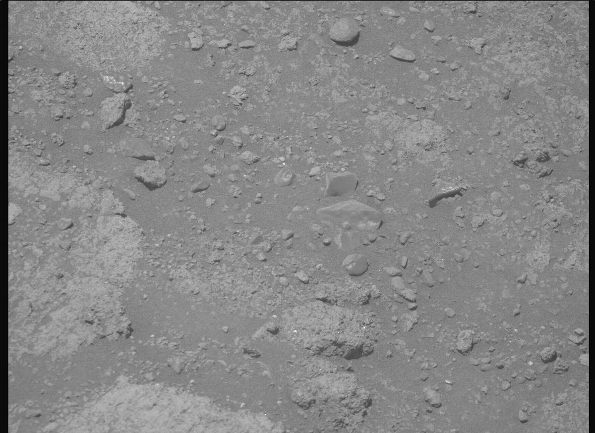 This image was taken by MCZ_RIGHT onboard NASA's Mars rover Perseverance on Sol 1606
