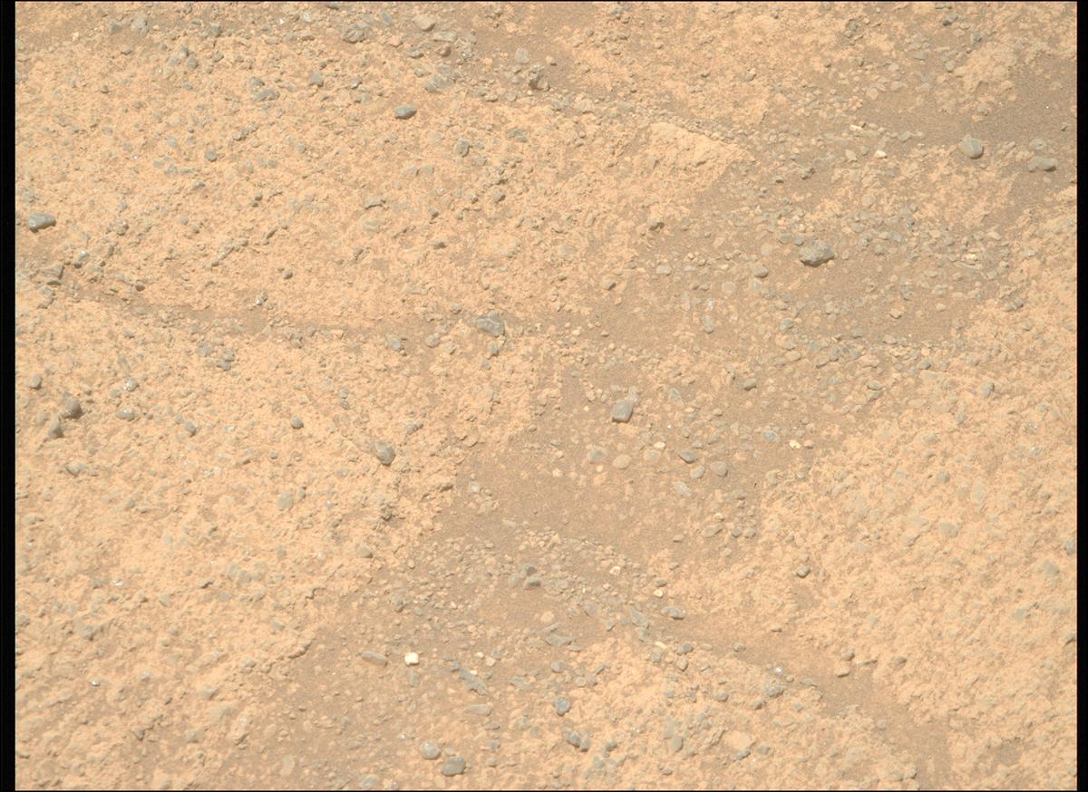 This image was taken by MCZ_RIGHT onboard NASA's Mars rover Perseverance on Sol 1606