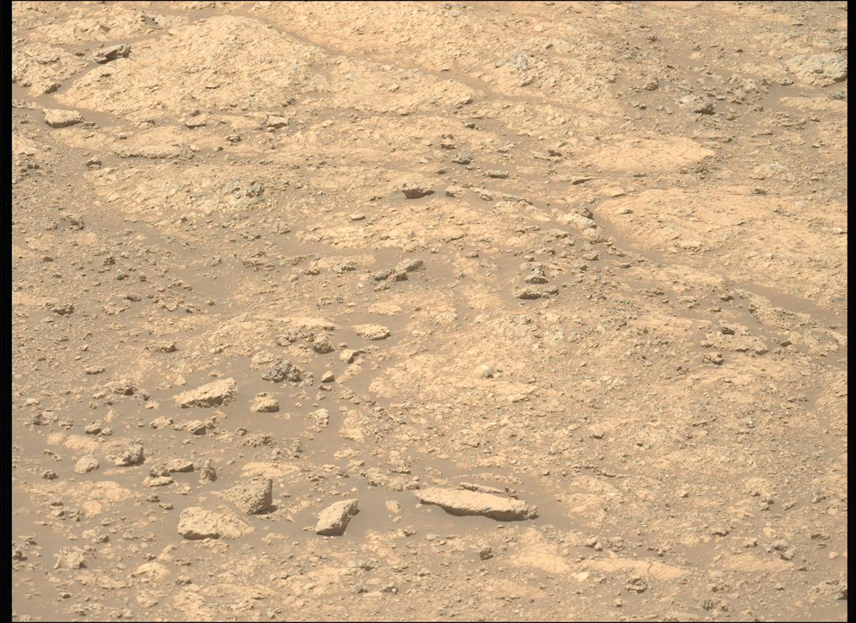 This image was taken by MCZ_LEFT onboard NASA's Mars rover Perseverance on Sol 1608