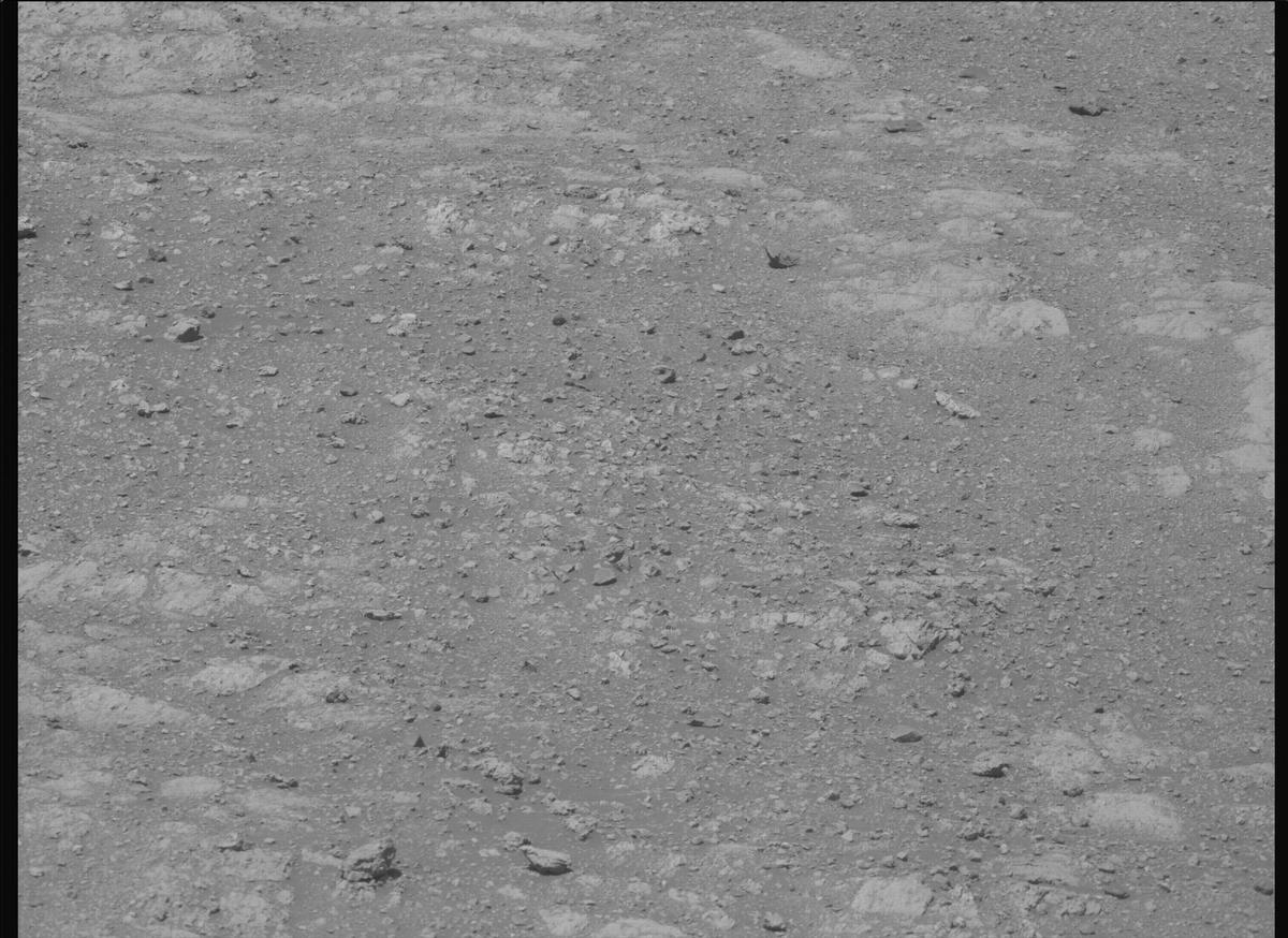 This image was taken by MCZ_LEFT onboard NASA's Mars rover Perseverance on Sol 1608