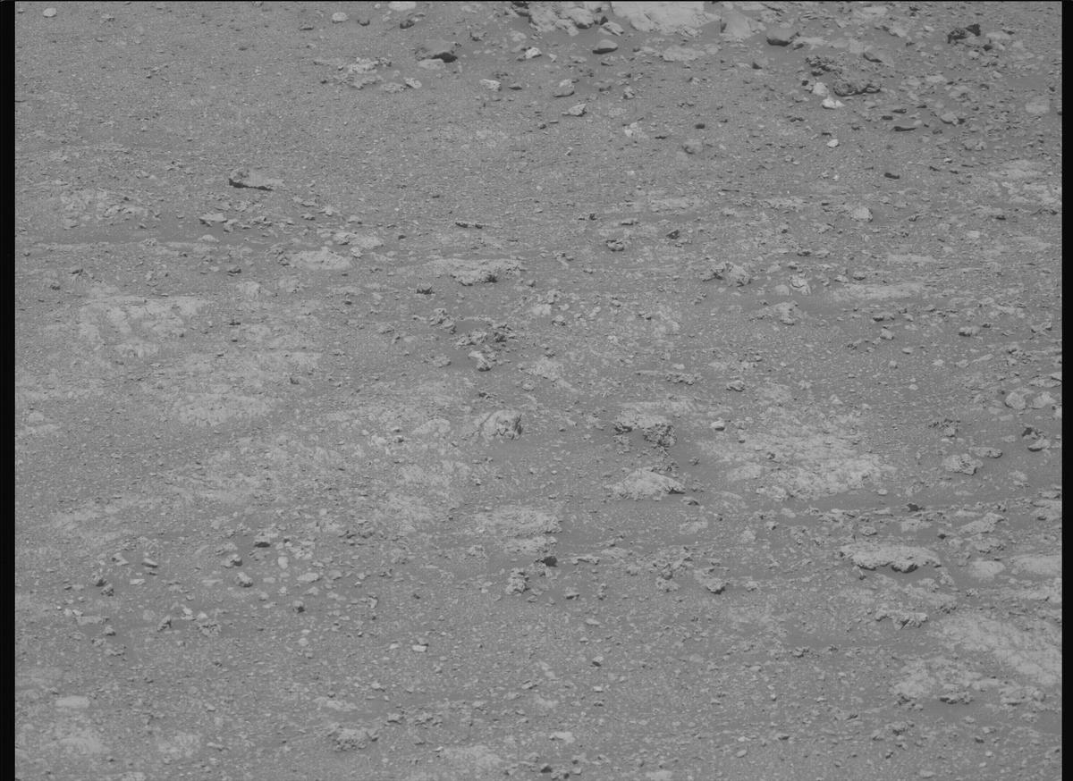 This image was taken by MCZ_LEFT onboard NASA's Mars rover Perseverance on Sol 1608