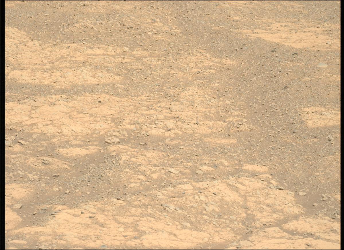 This image was taken by MCZ_LEFT onboard NASA's Mars rover Perseverance on Sol 1608