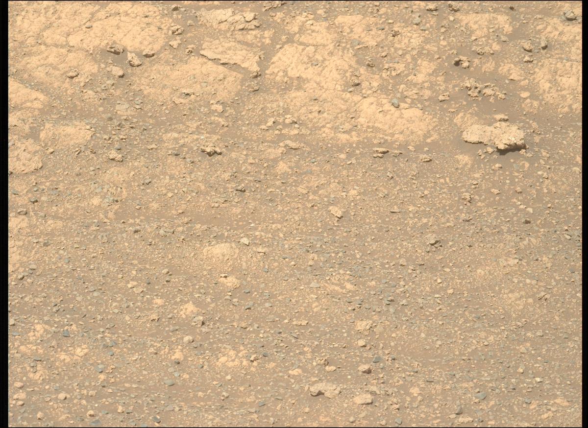 This image was taken by MCZ_LEFT onboard NASA's Mars rover Perseverance on Sol 1608