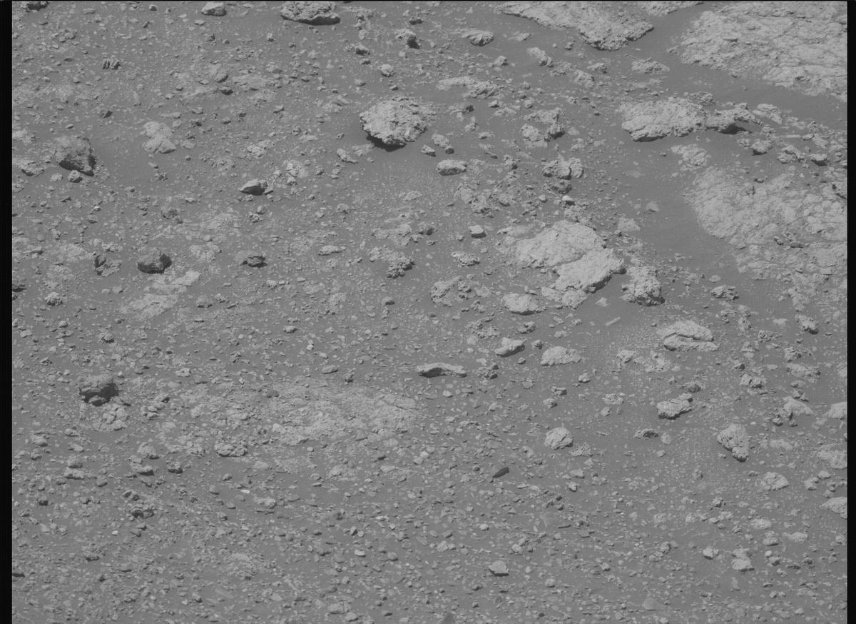 This image was taken by MCZ_LEFT onboard NASA's Mars rover Perseverance on Sol 1608
