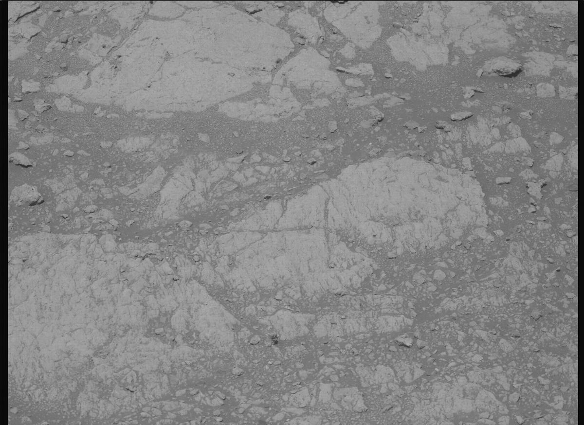 This image was taken by MCZ_LEFT onboard NASA's Mars rover Perseverance on Sol 1608